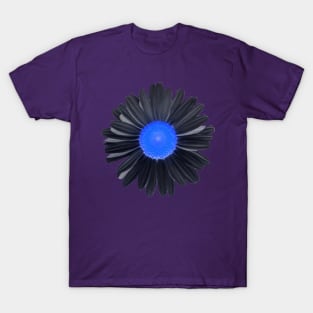 Filtered Daisy flower photographic image T-Shirt